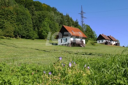 Pronájem rekreačního domu se zahradou v Podkrkonoší - Fotka 1